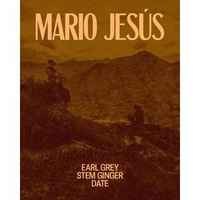 Mario Jesús