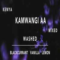 Kenya Kamwangi AA Washed Coffee Beans