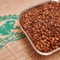Rainforest Alliance Certified Brazilian Coffee