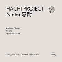 Nintai (忍耐) Gesha Symbiotic Process - Hachi Project