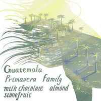 Primavera Family
