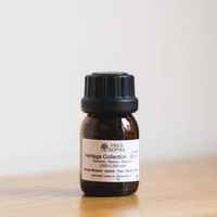 Panama Sophia FS116B25 Geisha - Natural