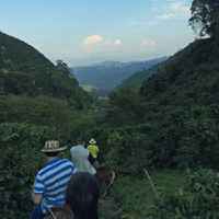 Colombia Finca Las Mercedes la Isla