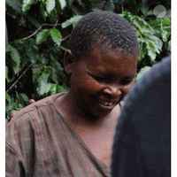 Uganda Mt Elgon Arabica