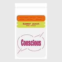 Summer Punch