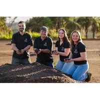 Brazil Coffee Beans - Everyday Blend