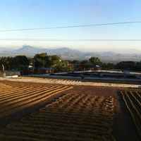 Los Nogales
