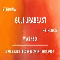 Like a walk through an apple orchard in spring // Ethiopia Guji Urabeast Washed