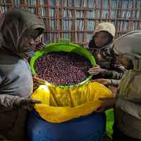 Ethiopia Bette Buna Cherry Kiss