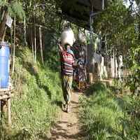 Burundi – Nyabiraba Hill – Lot 41