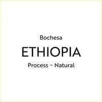 Bochesa