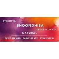 Ethiopia Shakiso Shoondhisa Natural