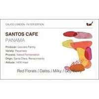 Panama Santos Cafe Pacamara — Naked Fermentation
