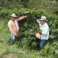 Colombia Inza Single Origin Coffee Beans 250g (Filter Roast)
