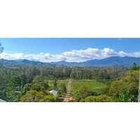 Papua New Guinea - Madan AA