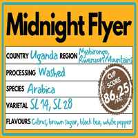 Midnight Flyer