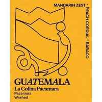 Guatemala | La Colina Pacamara