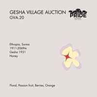 Gesha Village Auction GVA.20 — Surma Gesha 1931 50g