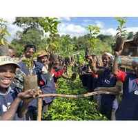 Ethiopia - Megadu