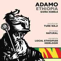 ADAMO - ETHIOPIA