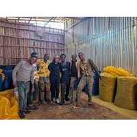 Ethiopia Bette Buna Kickstart Natural