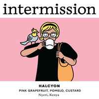 HALCYON, Washed, Kenya