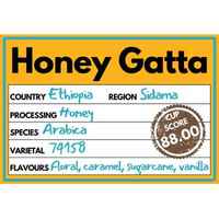 Honey Gatta