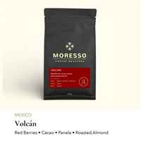 Mexico Volcán