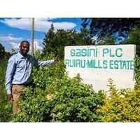 Kenya AA Ruiru Mills Estate