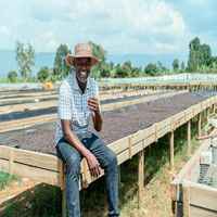 Uganda - The Coffee Gardens - Mukuru Florals