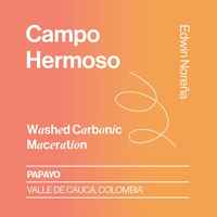 Colombia Campo Hermoso Carbonic Macerated Papayo
