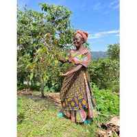 Uganda - Kyondo