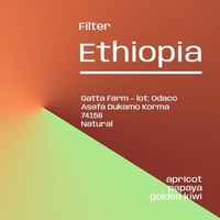 Ethiopia Odaco Natural - Filter