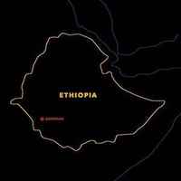 Ethiopia Djimmah - Forest Harvested