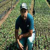 Edinson Argote, Finca Quebraditas TS Orange Bourbon