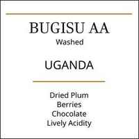 Uganda Bugisu AA Medium Roast