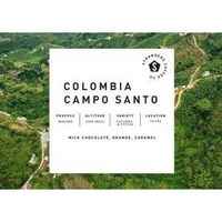 Colombia Campo Santo Washed