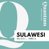 SULAWESI - Toraja, Kalossi