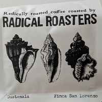 GUATEMALA - Finca San Lorenzo