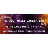 Kenya Nandi Hills Chebaibai SL28 Anaerobic Natural