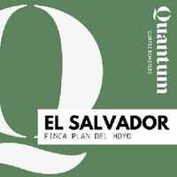 EL SALVADOR - Finca Plan del Hoyo