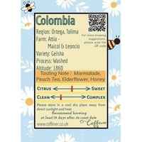 Attia - Colombia Geisha