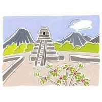 Guatemalan Monte Rosa