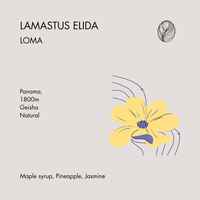 LAMASTUS ELIDA • LOMA – Natural Geisha 50g