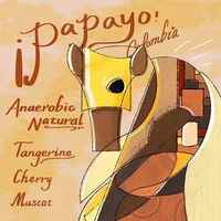 Papayo - Cultivares