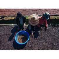 Rwanda Dukunde Kawa Musasa