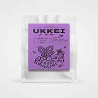 013 Butterfly Dream