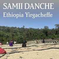 Ethiopia Yirgacheffe Samii Danche - Organic