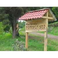NEW - Honduras SHG Hacienda Monte Cristo