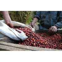 Ethiopia Yirgacheffe